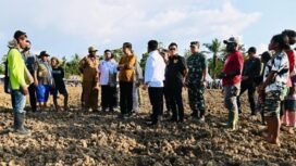Presiden RI Joko Widodo (Jokowi) meninjau lumbung pangan atau food estate dalam kunjungan kerjanya di Kabupaten Keerom, Provinsi Papua, pada Selasa (21/03/2023).Foto: Setkab.go.id