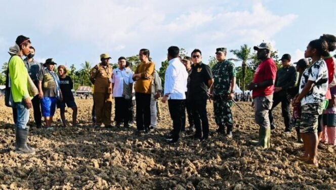 
Presiden RI Joko Widodo (Jokowi) meninjau lumbung pangan atau food estate dalam kunjungan kerjanya di Kabupaten Keerom, Provinsi Papua, pada Selasa (21/03/2023).Foto: Setkab.go.id