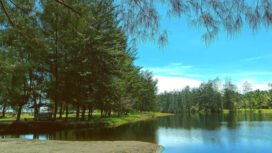 Tempat Wisata Telaga Cemara HolmafenFoto: Sasagupapua