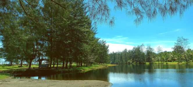 
Tempat Wisata Telaga Cemara HolmafenFoto: Sasagupapua