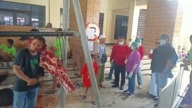 Kepala Disnakkeswan Mimika, drh. Sabelina Fitriani bersama Assisten 1 Setda Mimika Petrus L. Koten saat melakukan pemeriksaan hewan kurban yang sementara di potong di Masjid Miftahul Huda.Foto: Kristin Rejang - Sasagupapua.com