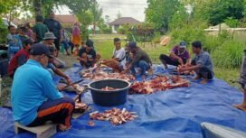 Warga Kerukunan IKL saat bekerjasama memotong hewan kurbanFoto: Kristin Rejang - Sasagupapua.com