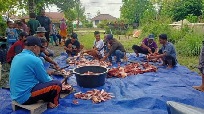 
Warga Kerukunan IKL saat bekerjasama memotong hewan kurbanFoto: Kristin Rejang - Sasagupapua.com