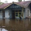 Banjir menggenangi rumah warga di Kampung Limau Asri Barat. 