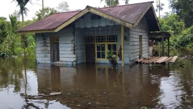 
Banjir menggenangi rumah warga di Kampung Limau Asri Barat. 
