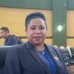 Ketua Fraksi Demokrat DPRD Mimika, Ancelina Beanal