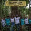 (Greenpeace base Jayapura)