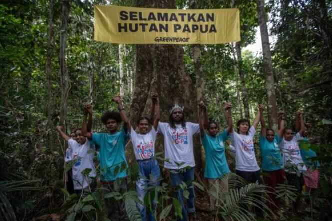 
(Greenpeace base Jayapura)