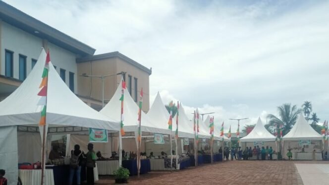
Suasana di lokasi pameran yang dilaksanakan oleh DPMK Kabupaten Mimika. (Foto: Sasgupapua.com)