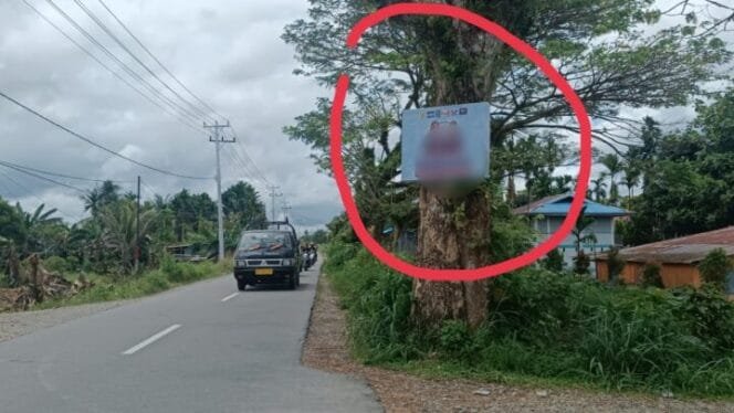 
Ada baliho calon Pilkada yang dipaku di pohon. (Foto: Sasagupapua.com)
