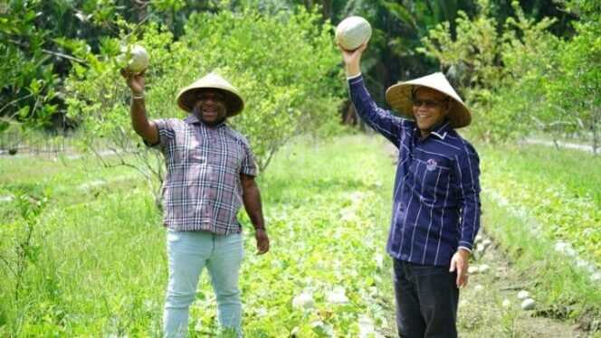 
Paslon Bupati dan Wakil Bupati nomor urut 3, Alexsander Omaleng dan Yusuf Rombe saat di lahan pertanian kampung muara Distrik Mimika Timur. Foto: (Tim Media AIYE)