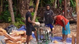 Saul Wally saat mengolah sagu menggunakan mesin parut bersama anak-anaknya. (Foto: Edwin Rumanasen/Sasagupapua.com)