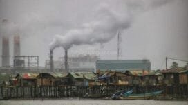 Suasana rumah masyarakat di Amamapare yang berdampingan dengan Area Industrial Porsite PT.Freepot Indonesia. (Foto: Kristin Rejang/Sasagupapua.com)