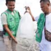 Sebanyak 10.000 anakan ikan barramundi
didatangkan dari Buleleng Bali, dan telah
melalui proses pemeriksaan Karantina
Kesehatan sebelum dilepas di perarian
Pesisir Selatan Mimika. (Foto: Corpcom Freeport)