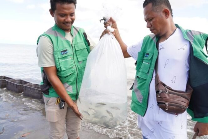 
Sebanyak 10.000 anakan ikan barramundi
didatangkan dari Buleleng Bali, dan telah
melalui proses pemeriksaan Karantina
Kesehatan sebelum dilepas di perarian
Pesisir Selatan Mimika. (Foto: Corpcom Freeport)