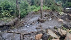 Longsor terjadi di Distrik Tembagapura. (Foto: Istimewa)