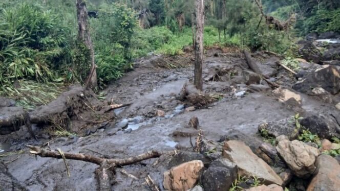 
Longsor terjadi di Distrik Tembagapura. (Foto: Istimewa)