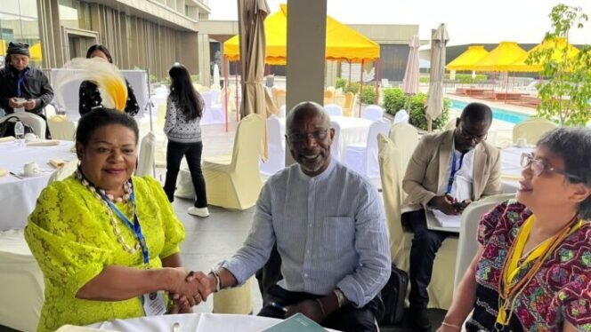 
Dorince Mehue, DAMANNAS Region Papua melpaorkan kasus yang terjadi di papua kepada pelapor Khusus PBB, Albert K. Barume. (Dokumentasi AMAN)