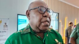 Wakil Bupati Mimika, Emanuel Kemong. (Foto: Nelson Napitupulu)