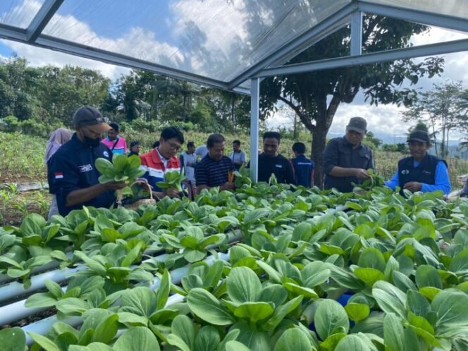 
Foto: Humas Pertamina Papua-Maluku