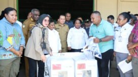 Sumber foto: papua.go.id