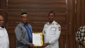 Sumber foto: papuaselatan.go.id