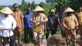 Menteri Desa H. Yandri Susanto, S.Pt., M.Pd dan Menteri Koperasi Budi Arie Setiadi mengunjungi Kampung Bumi Raya, Distrik Nabire Barat, Provinsi Papua Tengah. (Foto: Ed)