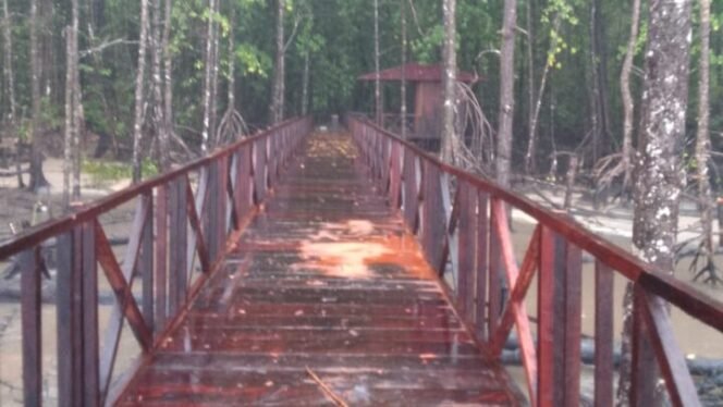
Jembatan untuk akses ke air terjun Kokonao kecil. (Foto: Istimewa) 
