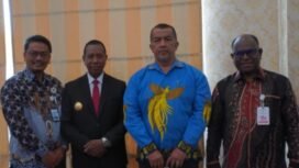 Sumber foto: Papuaselatan.go.id