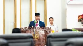 Wagub Papua Tengah, Deinas Geley saat memberikan sambutan. (Foto: Ist)