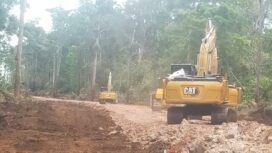 Eksavator saat membongkar hutan di Merauke. (Foto: Dok Solidaritas PSN Merauke)
