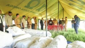 Foto: Humas Pemprov Papua Tengah