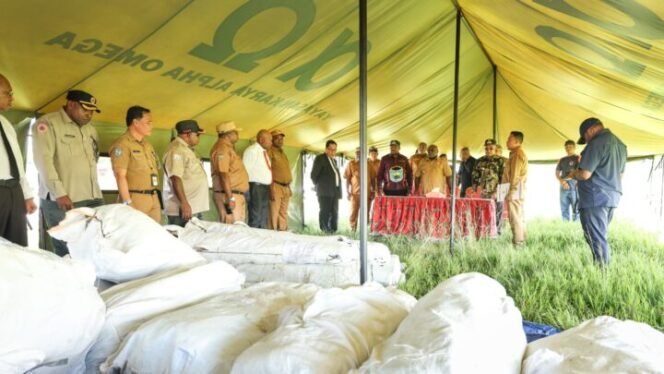 
Foto: Humas Pemprov Papua Tengah