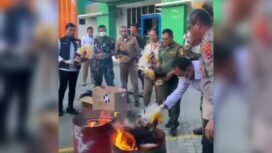 Capture video saat BBKSDA dan tim gabungan memusnahkan satwa offset. 