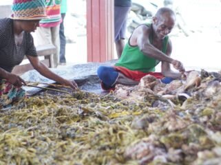 Suasana Bakar Batu di Gereja Kemah Injil Indonesia (GKII) Jemaat Bukit Sion Portanigra, Kamis (25/12/2025). Foto: Kristin Rejang/Sasagupapua.com 
