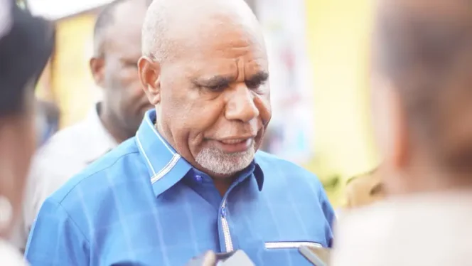 
Wakil Gubernur Papua Tengah, Deinas Geley. (Dok.Sasagupapua)