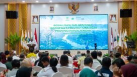 Suasana kegiatan sosialisasi Sub Nasional Indonesia’s Forestry and Other Land Use (FOLU) Net Sink 2030. Foto: Humas Pemprov Papua Tengah.