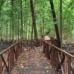 Jembatan yang telah dibangun untuk akses ke tempat wisata di Distrik Mimika Barat Jauh. (Foto: Istimewa)