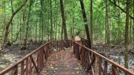 Jembatan yang telah dibangun untuk akses ke tempat wisata di Distrik Mimika Barat Jauh. (Foto: Istimewa)