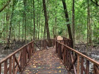 Jembatan yang telah dibangun untuk akses ke tempat wisata di Distrik Mimika Barat Jauh. (Foto: Istimewa)