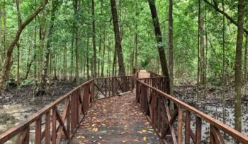 Jembatan yang telah dibangun untuk akses ke tempat wisata di Distrik Mimika Barat Jauh. (Foto: Istimewa)