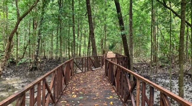 Jembatan yang telah dibangun untuk akses ke tempat wisata di Distrik Mimika Barat Jauh. (Foto: Istimewa)
