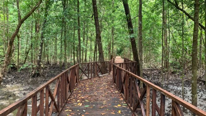 
Jembatan yang telah dibangun untuk akses ke tempat wisata di Distrik Mimika Barat Jauh. (Foto: Istimewa)