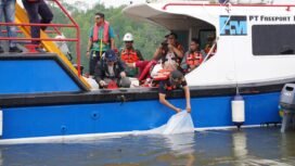 Vice President Environmental PTFI
Gesang Setyadi (kiri, bertopi) melakukan
pelepasan
simbolis
10.000
ikan
baramundi di Muara Tipuka, Distrik
Mimika Timur, Kabupaten Mimika papua
Tengah pada Kamis, 28 Mei 2026.
(Foto: Corcom Freeport Indonesia) 