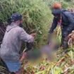 Foto evakuasi korban di Puncak. (Foto: Ist)