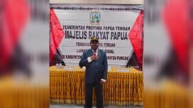Ketua Pokja Adat MRP Papua Tengah, Yulius Wandagau. (Foto: Ist)