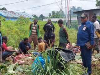 Anggota DPR Papua Tengah, Yulian Magai saat melakukan reses dengan bakar batu bersama masyarakat di Timika, Sabtu (27/6/2026). Foto: Istimewa 