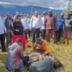 Bupati Intan Jaya, Aner Maisini, Wakil Bupati Intan Jaya, Elias Igapa, Tim penanganan Konflik, bersama masyarakat saat mengevakuasi jenazah Okto Tigau di belakang Pos Habema. (Foto: Istimewa)