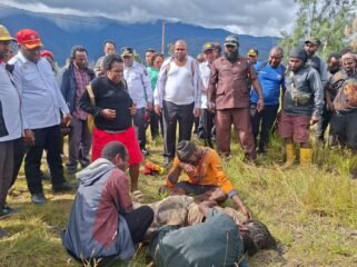 Bupati Intan Jaya, Aner Maisini, Wakil Bupati Intan Jaya, Elias Igapa, Tim penanganan Konflik, bersama masyarakat saat mengevakuasi jenazah Okto Tigau di belakang Pos Habema. (Foto: Istimewa)