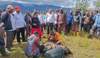 Bupati Intan Jaya, Aner Maisini, Wakil Bupati Intan Jaya, Elias Igapa, Tim penanganan Konflik, bersama masyarakat saat mengevakuasi jenazah Okto Tigau di belakang Pos Habema. (Foto: Istimewa)